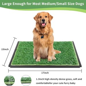 Grass Pad for Dogs 2